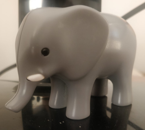 elephant